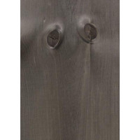 B1.004 TABU Zarainas priedes 0,6 mm nažfinieris