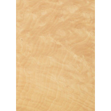 46.013 TABU madronas māzera 0,6 mm nažfinieris  