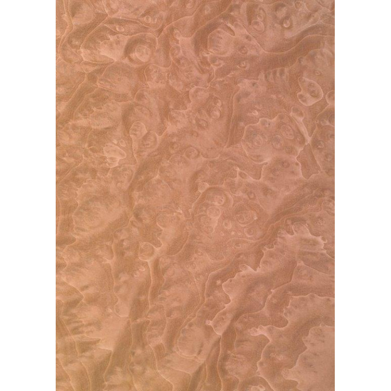 46.043 TABU Madrona Burl 0,6 mm   
