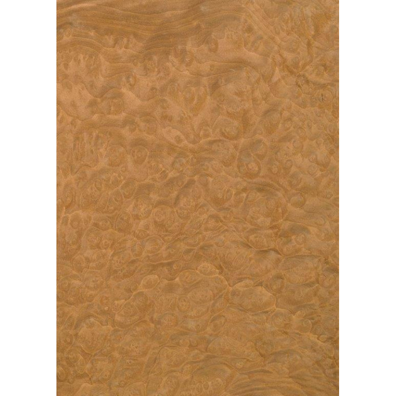 46.002 TABU Madrona Burl 0,6 mm