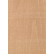 D6.012 TABU Perpero 0,6 mm nažfinieris