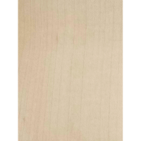 HPL 331  kļava (NT) 4100x1310x0.8 mm