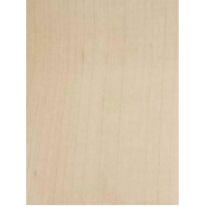 HPL 331  kļava (NT) 4100x1310x0.8 mm